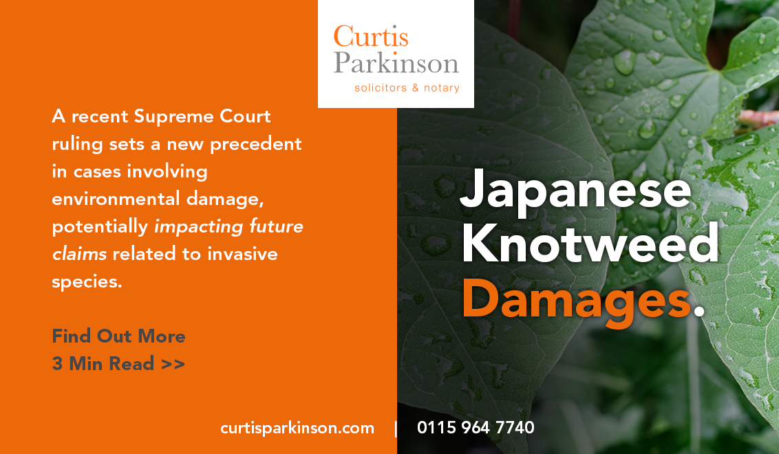 Supreme Court Uproots Landowner Rights In Knotweed Case Curtis Parkinson supreme-court-uproots-landowner-rights-in-knotweed-case-curtis-parkinson