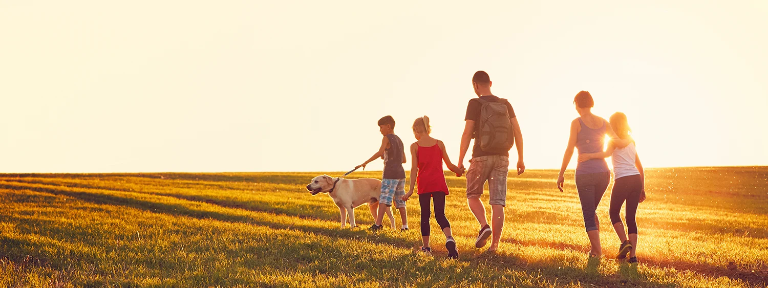 blended family
